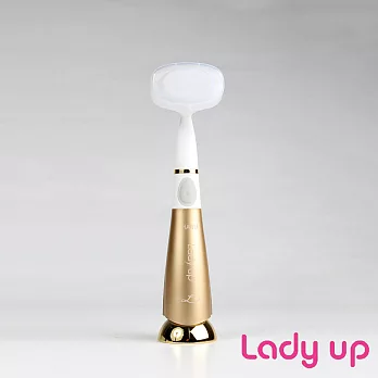 Ladyup (HR-05)超音波震動洗臉刷霧金