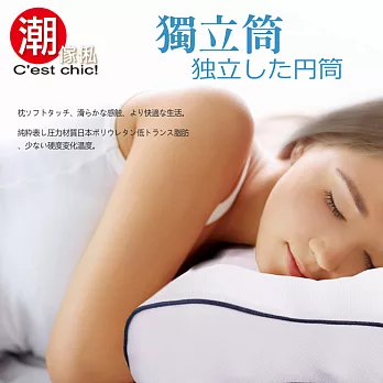 C’est Chic-外銷日本獨立筒高低兩用枕