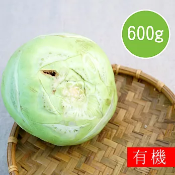 【陽光市集】花蓮好物-有機結頭菜(600g)