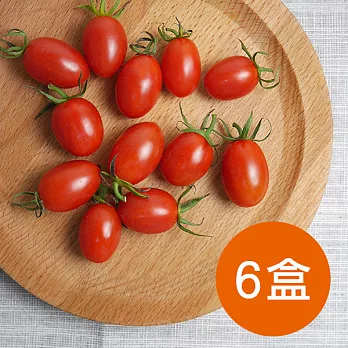 【食在安市集】田園蜜語農場玉女小番茄6盒組(預購)