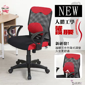 DIJIA 【花舞繽紛新型升降護腰】辦公椅/電腦椅紅色