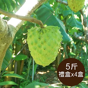 【食在安市集】台東ㄚ揚：有機鳳梨釋迦禮盒5斤*4盒(預購)