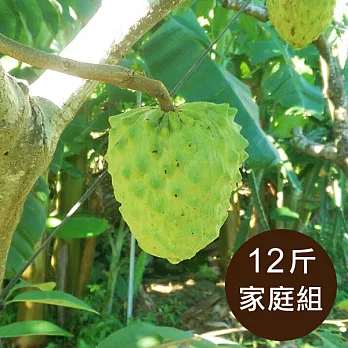【食在安市集】台東ㄚ揚：有機鳳梨釋迦12斤家庭組(預購)