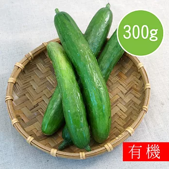 【陽光市集】花蓮好物-有機小黃瓜(300g)