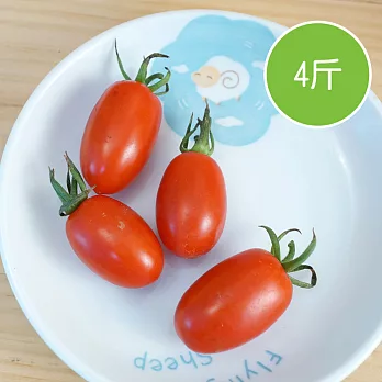 【陽光市集】沐光農場-音樂玉女蕃茄(600gx4盒