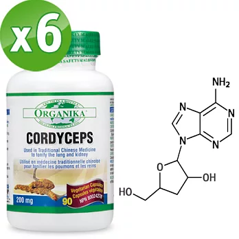 【Organika優格康】冬蟲夏草全素膠囊 (90顆)超值6瓶組無