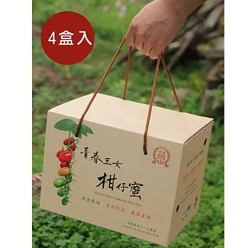 【食在安市集】田裡的孩子：青春玉女．柑仔蜜－甜蜜伴手禮盒(4盒入)