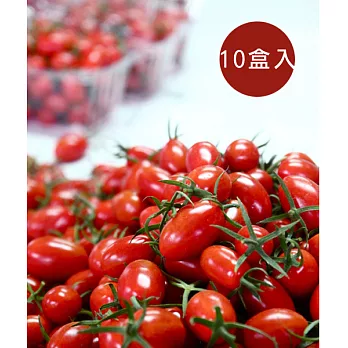 【食在安市集】田裡的孩子：青春玉女．柑仔蜜－10盒入