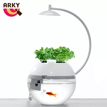 《ARKY》香草與魚Herb & Fish