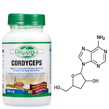 【Organika優格康】冬蟲夏草全素膠囊 (90顆)即期