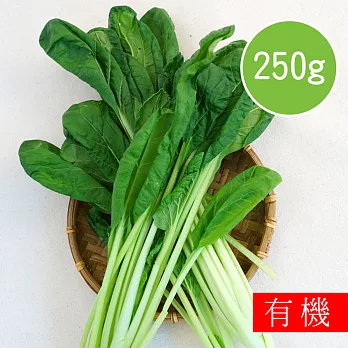 【陽光市集】花蓮好物-有機塔菇菜(250g)