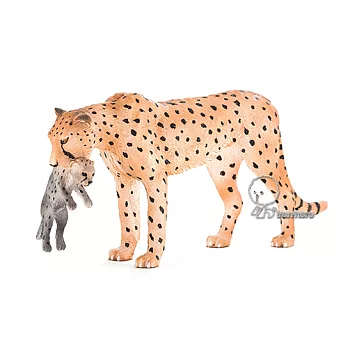 MOJO動物模型-非洲獵豹(母子)