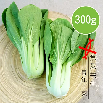 【陽光市集】魚菜共生-青江菜(300g)