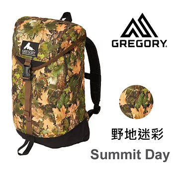 【美國Gregory】Summit Day日系休閒後背包22L-野地迷彩