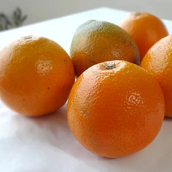 【食在安市集】耕好：美人柑(8台斤)