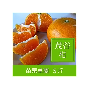 苗栗卓蘭【茂谷柑】(25A，自家品嘗)
