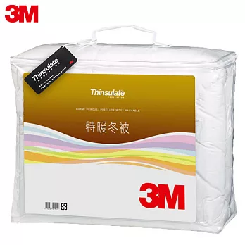 【3M】Thinsulate輕透可水洗防蹣特暖被z500 (標準雙人6x7)