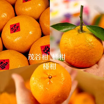 【鮮果日誌】橘星高照柑甜禮盒
