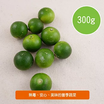 【陽光市集】金桔(約300g)