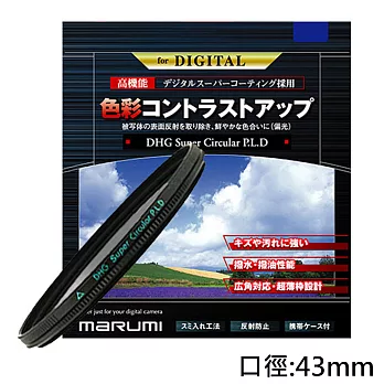 Marumi SUPER DHG CPL多層鍍膜環型偏光鏡(43mm/公司貨)