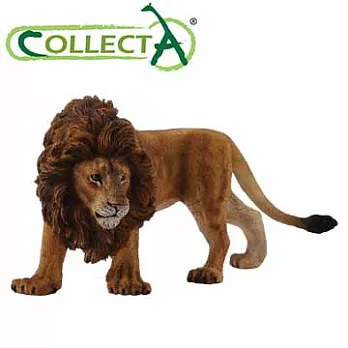 【CollectA】公獅子