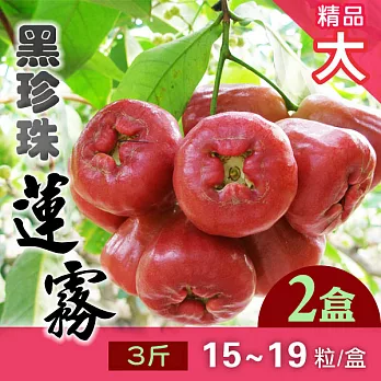 蓮霧王 屏東林邊黑珍珠蓮霧 3斤x2盒 (每盒約15-19粒) 精品大