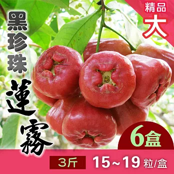 蓮霧王 屏東林邊黑珍珠蓮霧 3斤x6盒 (每盒約15-19粒) 精品大