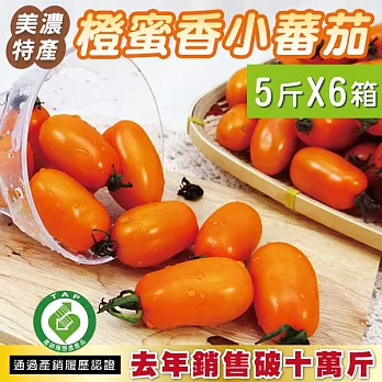 《預購》橙蜜香小蕃茄 5斤x6箱 美濃特產