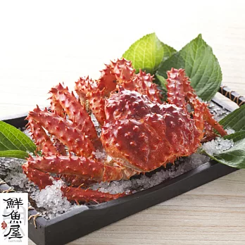 【鮮魚屋】巨無霸超大智利帝王蟹1.8-2.0kg