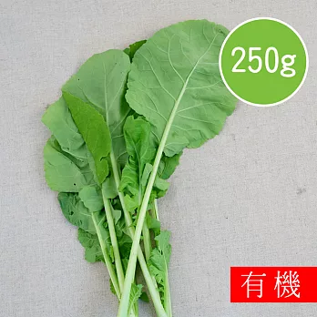 【陽光市集】花蓮好物-有機山菠菜(250g)