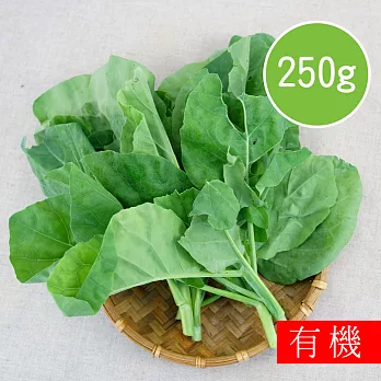 【陽光市集】花蓮好物-有機格蘭菜(250g)