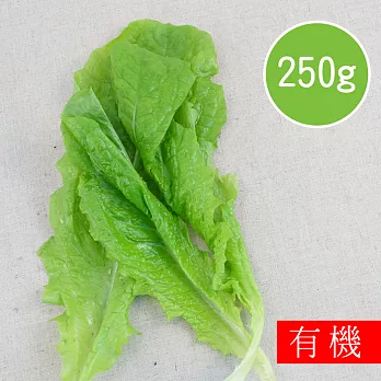 【陽光市集】花蓮好物-有機萵苣(A菜/250g)