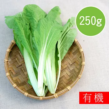 【陽光市集】花蓮好物-有機廣島菜(250g)