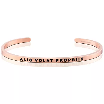 MANTRABAND ALIS VOLAT PROPRIIS 振翅飛翔 玫瑰金手環拉丁文版