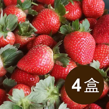 【食在安市集】(預購)南投埔里有機轉型期草莓300g*4盒