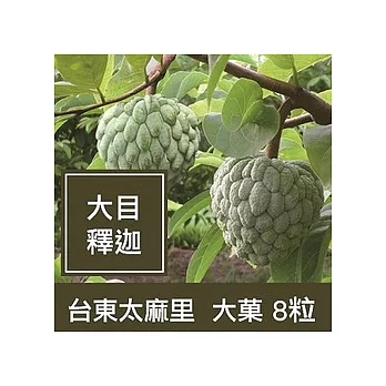 一籃子台東太麻里【大目釋迦】大菓8粒