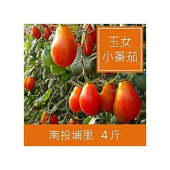 一籃子南投埔里【薄皮‧玉女小番茄】4斤