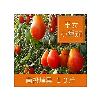 一籃子南投埔里【薄皮‧玉女小番茄】10斤