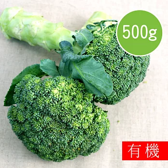 【陽光市集】花蓮好物-有機青花菜(500-600g)