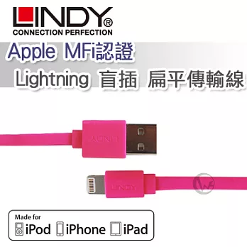 LINDY 林帝 Apple MFi認證 Lightning 盲插 扁平傳輸線 粉色 (31395)粉色