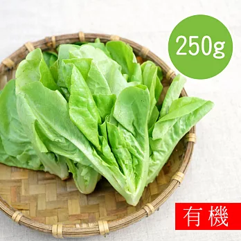 【陽光市集】花蓮好物-奶油萵苣(250g)