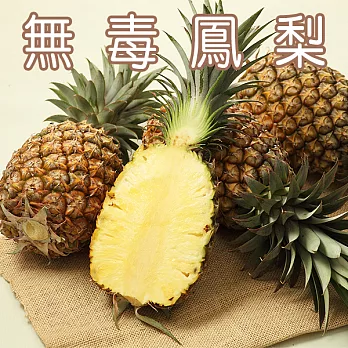 【農夫家】山上的無毒鳳梨,8台斤免運