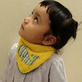 日本製Crescendo今治毛巾，兩用手帕領巾-鯨魚(鵝黃)