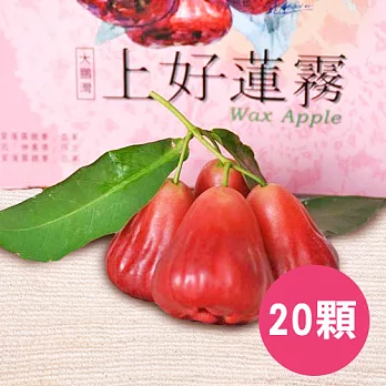 【食在安市集】屏東大鵬灣:上好黑珍珠蓮霧禮盒(20顆入)-預購