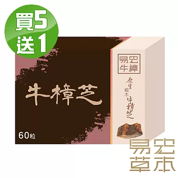 【買5送1】易宏草本-原生椴木牛樟芝6盒組(60粒/盒)