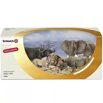 Schleich 史萊奇禮盒 - 豪華禮盒五入組