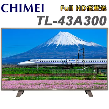 CHIMEI奇美 43吋 FHD低藍光液晶顯示器+視訊盒(TL-43A300)＊送雙星14吋立扇+HDMI線