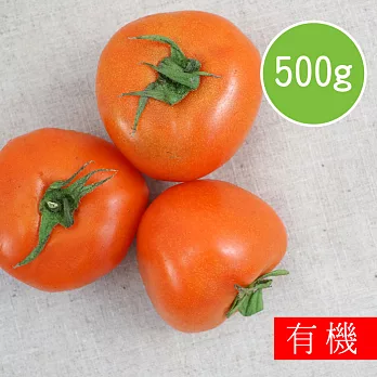 【陽光市集】花蓮好物-有機牛蕃茄(500g)