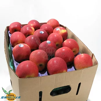 《阿洲水果》紐西蘭微風蘋果(60-70粒隨機出貨)