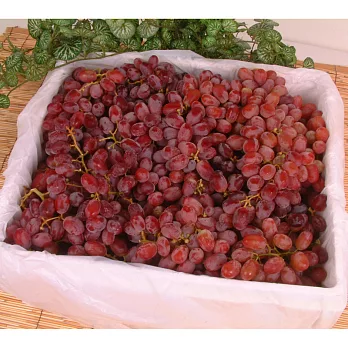《阿洲水果》澳洲紅無子葡萄(12斤)